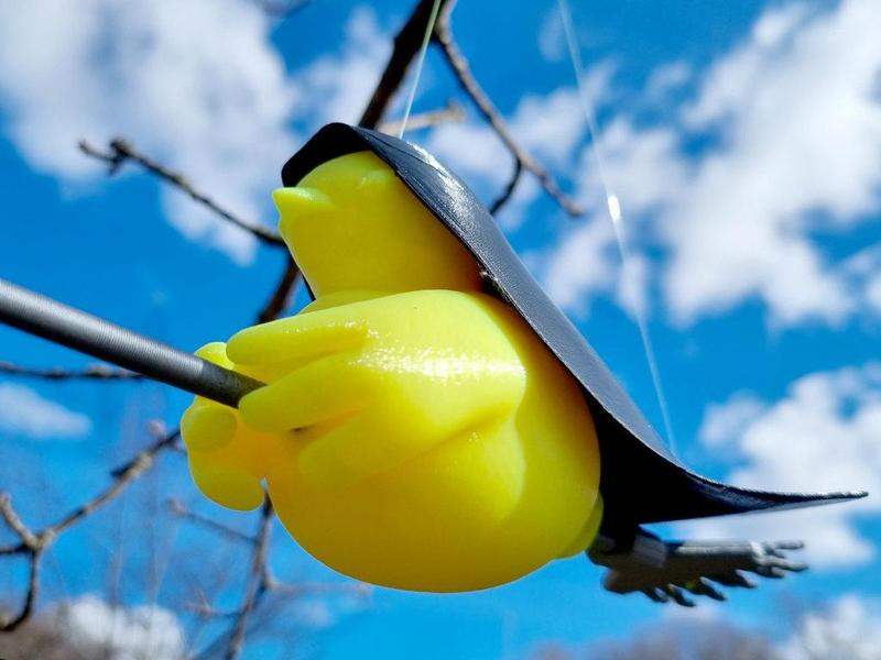 Easter Chicken with Broom and Coat