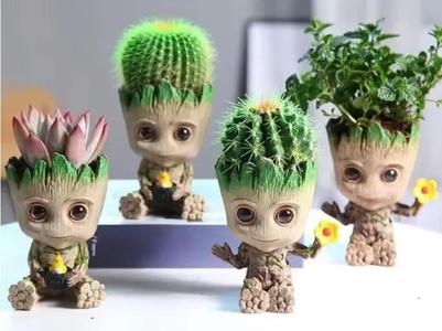 Groot BEBE