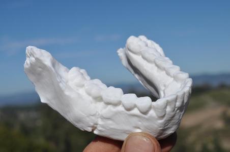 Homo Naledi Jaw from Rising Star Cave