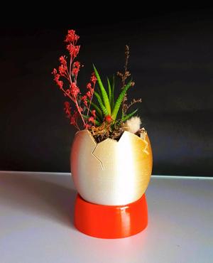 Egg Shaped Mini Planter for Succulent and Plants