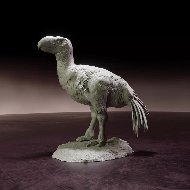 Brontornis standing - pre-supported prehistoric bird