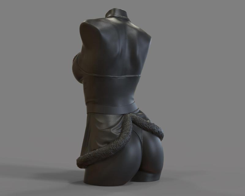 Sexy woman Mrs. Claus for candle