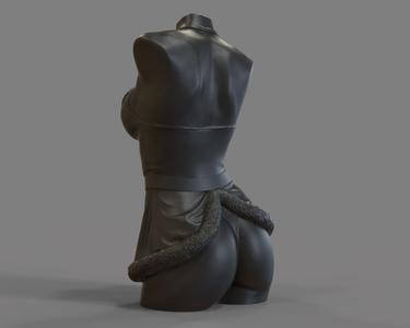 Sexy woman Mrs. Claus for candle