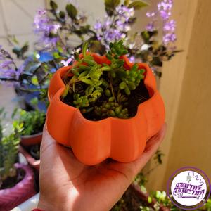 Pumpkin Pots
