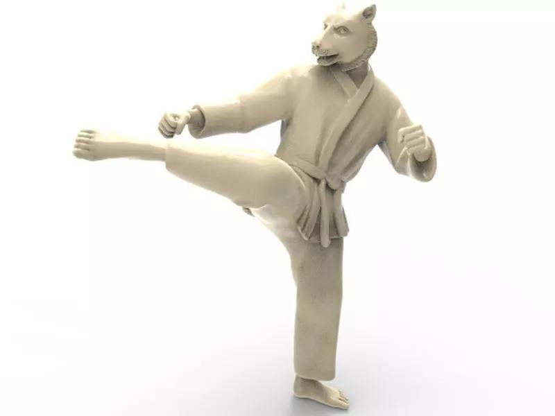 Tiger Roundhouse Kick