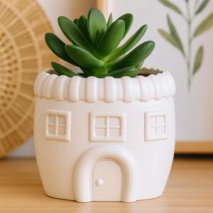 House Shaped Plant Pot with Drainage