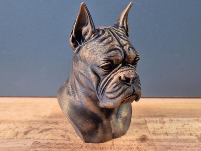 Boxer with cropped ears Bust