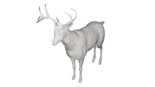 Deer - wild animal