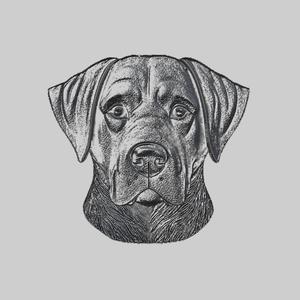 Dog Animal Metal Head