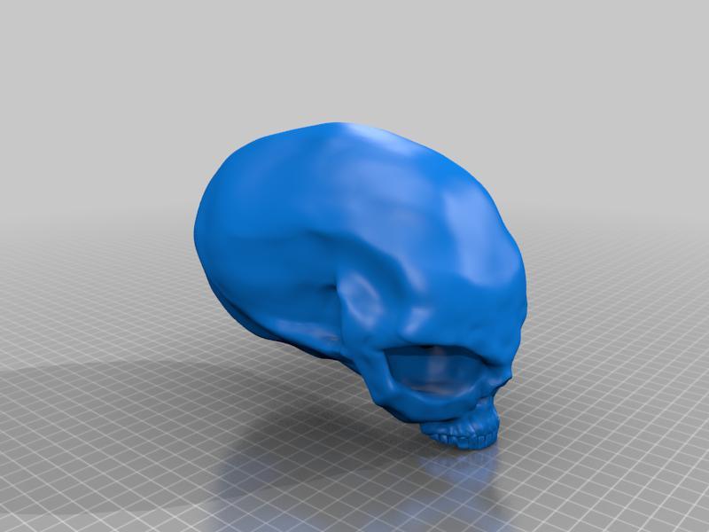 Alien Skull 