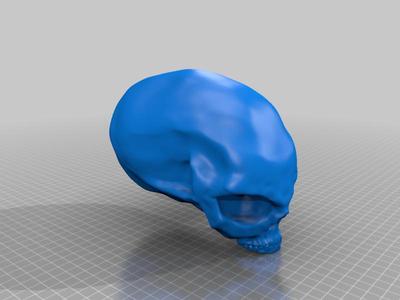 Alien Skull 