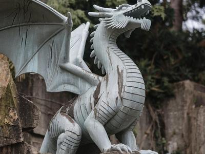 The guardian dragon