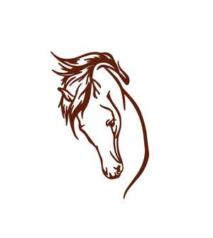 Head_Horse