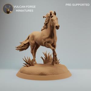 Horse stallion running pre supported