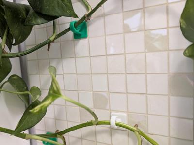 plant support hook
