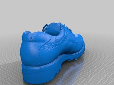 Leather shoe（generated by Revopoint POP）
