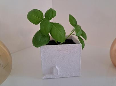 small Planter with house