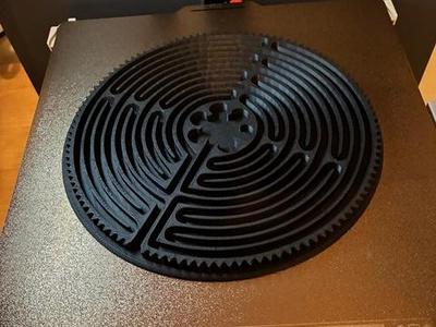 Chartres Cathedral Labyrinth replica 