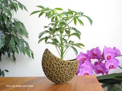 Capsule Planter