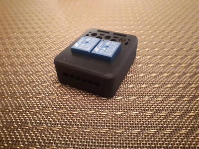 Dual Channel Relay Box