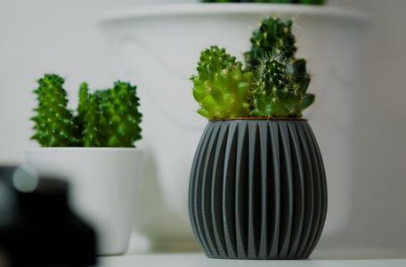 Eggshaped Flower Pot