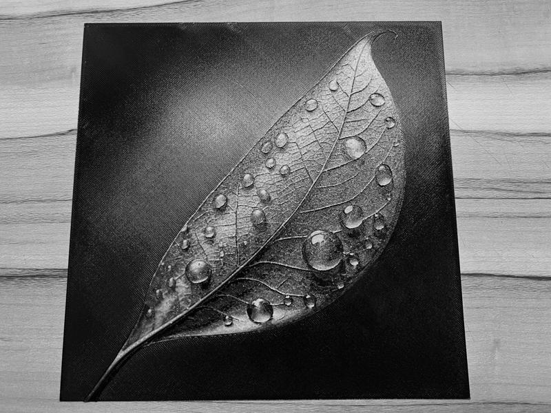 Hueforge Natur Blatt mit Tropfen -Leaf with Drops