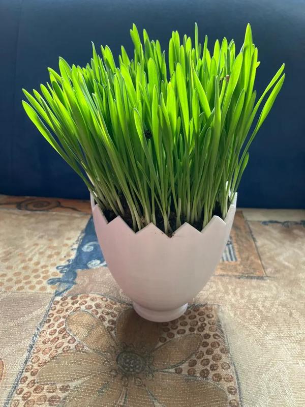 Velikonoční květináč ve tvaru prasklého vejce   