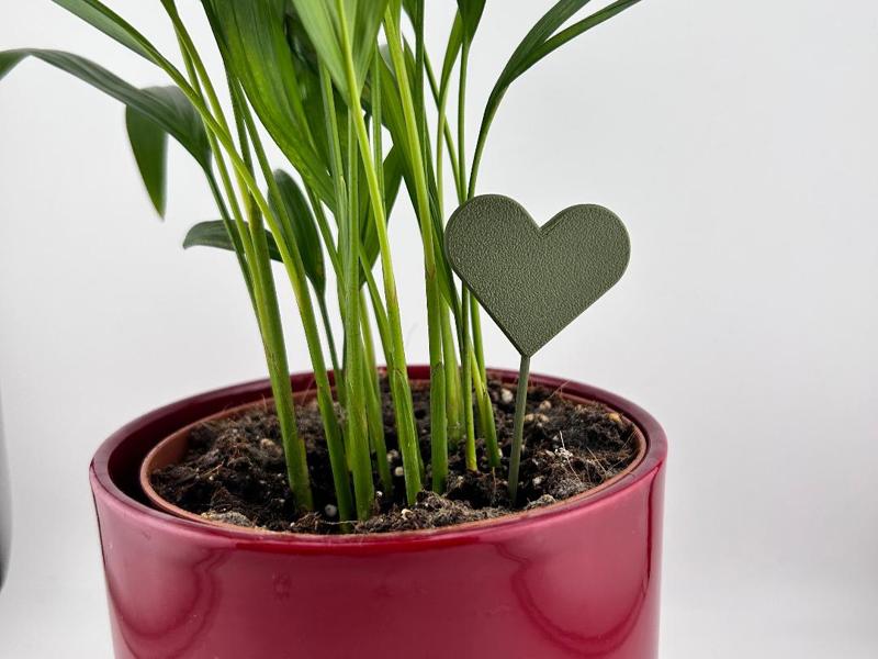 Heart Plant Marker