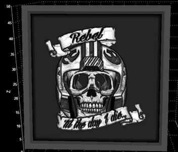 STAR WARS  LITHOPHANE FOR LEGION OR FOR HANGING ON WALL  REBEL SKULL LOGO