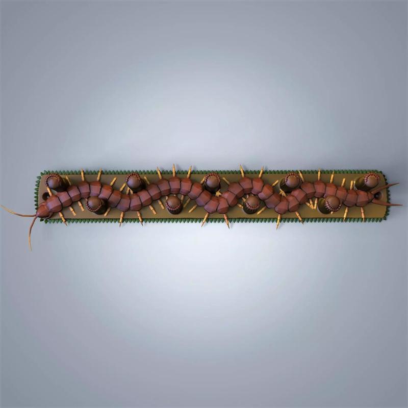 Centipede key holder and coat rack