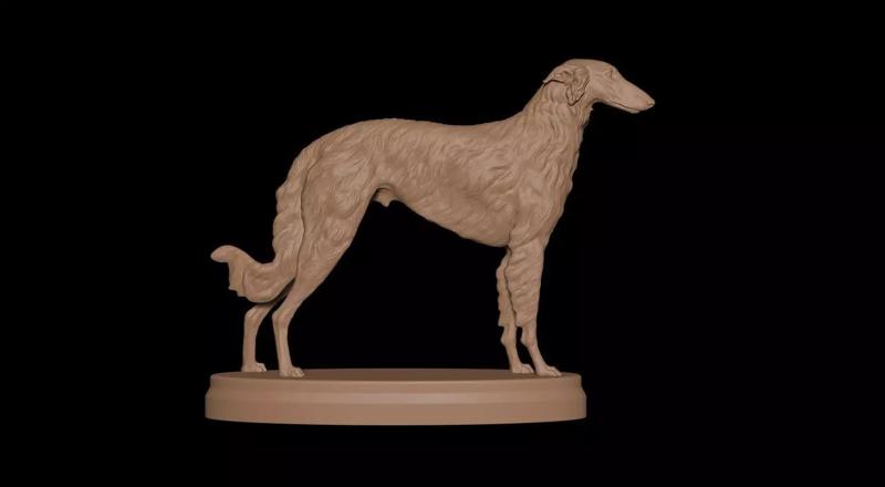 Borzoi