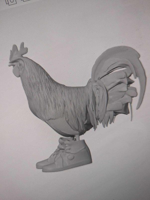 rooster with tennis shoes