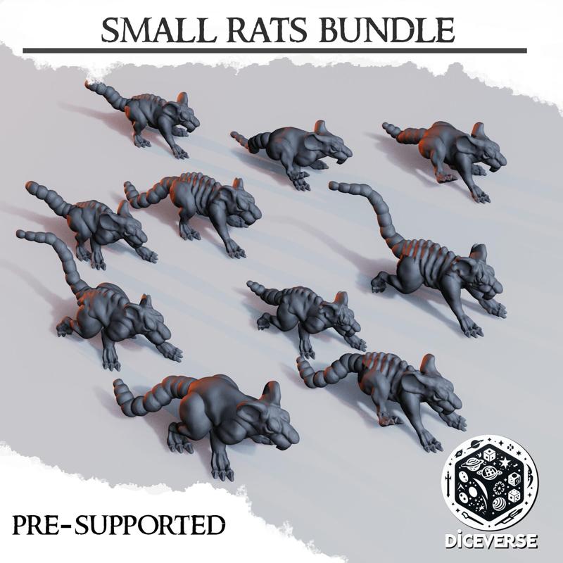 Small Rats Pack