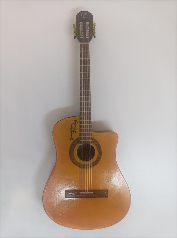 Takamine gc1ce guitar