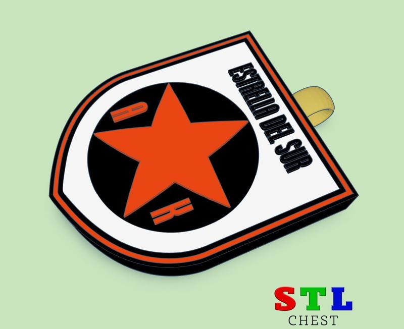 KEYCHAIN / PENDANT SHIELD OF THE SOUTH STAR