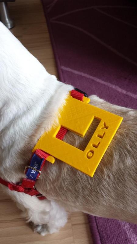 Doggie L Plate