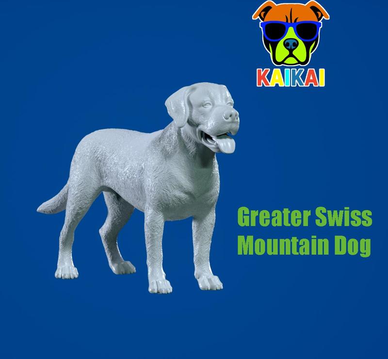 Greater Swiss Mountain Dog model - 3D print