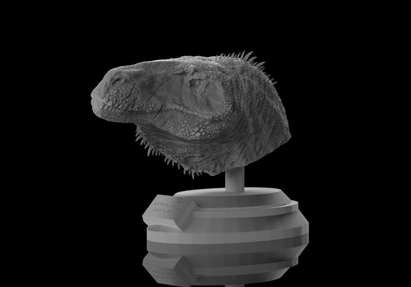 Torvosaurus gurneyi - Bust