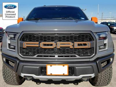 Ford Grill (Raptor) - Scale to Fit