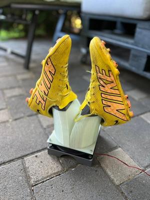AntiCheese - Shoe-Dryer