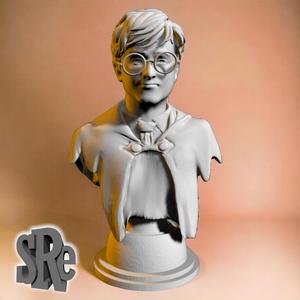 harry potter bust