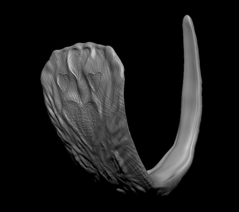 C-String Micro String Underpants