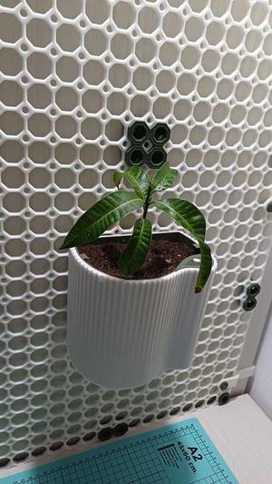 Self-watering plant pot for Multiboard organization system and stand alone