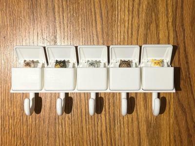 Key Rack Kitties