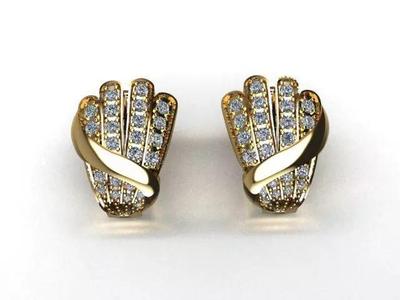 jewelry earrings