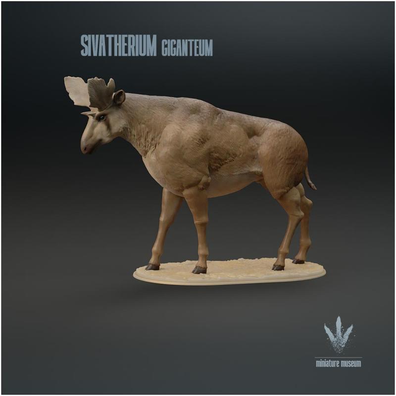Sivatherium giganteum  : The Shiva's Beast