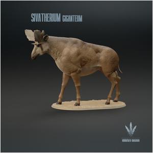 Sivatherium giganteum  : The Shiva's Beast