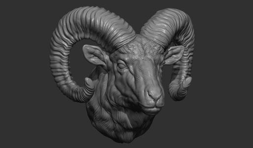 Big Horned Ram head