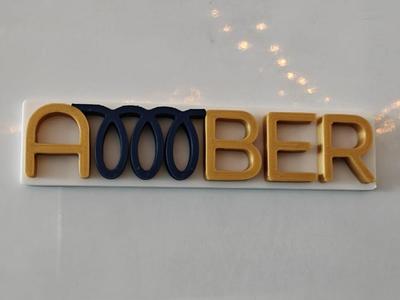 AMBER Magnet