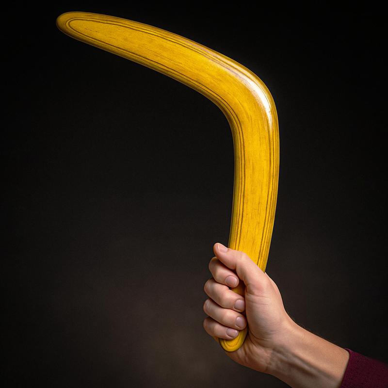 #12 BOOMERANG: FLYING TOY